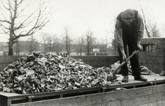 502549 Afbeelding van het sorteren van dierlijke en plantaardige afvalstoffen door schillenboeren op het terrein van de ...